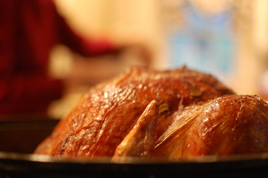 Thanksgiving Turkey - 5